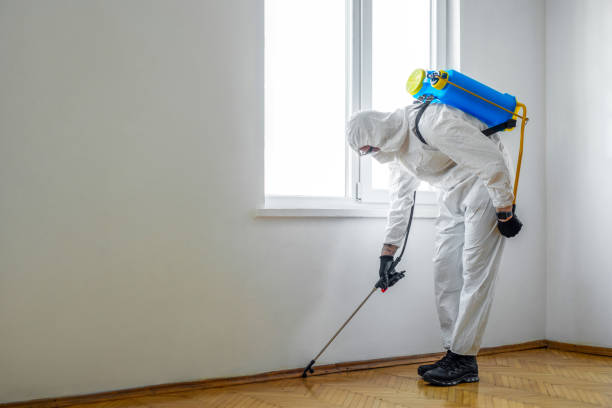 Indoor Pest Control in Fairless Hills, PA